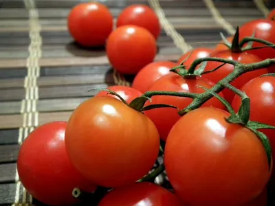 Лето,огород,помидоры ,арбузы,кабачки…» — создано в Шедевруме
