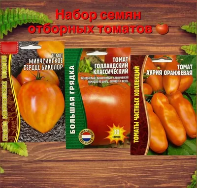 Купить Семена Томат (помидор) Турецкий сверхранний F1 от 140 руб.