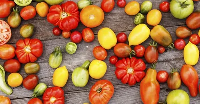 Томаты Набор семян овощей для сада и огорода отборные томаты помидоры, 3  упаковки. - купить по выгодным ценам в интернет-магазине OZON (1221410377)