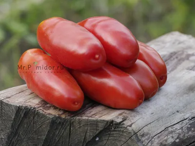 Аурия - Альбомы - tomat-pomidor.com