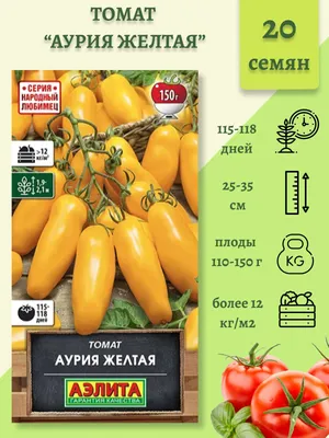 15 самых урожайных сортов и гибридов томатов для теплиц и открытого грунта  | На грядке (Огород.ru)