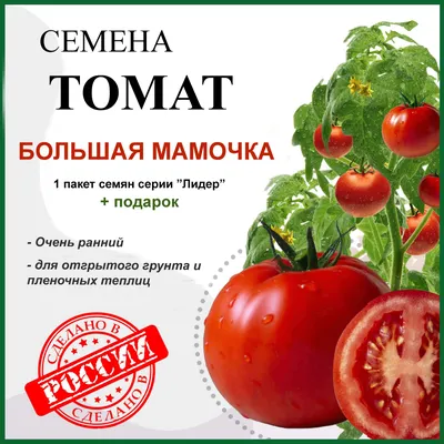 Семена Томата Мамстон – купить в интернет-магазине OZON по низкой цене