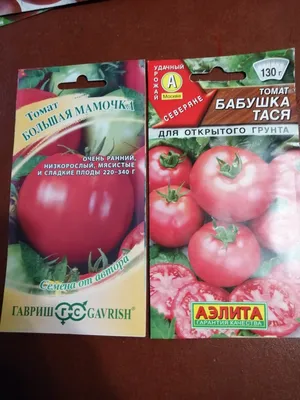 Когда сажать помидоры на рассаду: лучшие, урожайные, крупноплодные сорта  томатов для теплицы, низкорослые томаты для теплицы - 12 марта 2023 - 76.ru