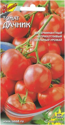 Томат Дачник, 35 семян купить товары для сада и огорода с быстрой доставкой  на Яндекс Маркете