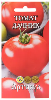 Томат Дачник (Лучшие сорта томатов) - YouTube