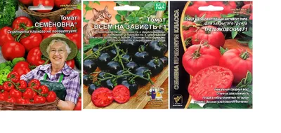 Отзыв о Семена томата Уральский дачник \"Непасынкующийся\" | Красивые вкусные  небольшие томаты