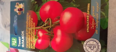 Томат Ранний холодостойкий «Уральский дачник» в Перми – купить семена
