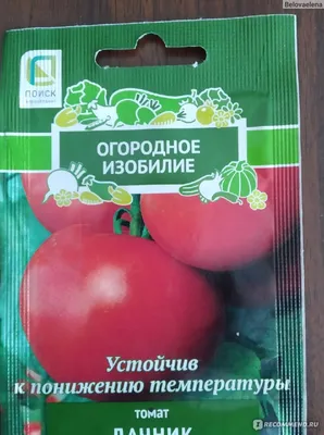 Семена Томат «Дачник» по цене 13 ₽/шт. купить в Москве в интернет-магазине  Леруа Мерлен
