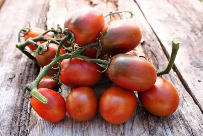 Семена томатов (помидор) Де Барао Розовый купить в Украине | Веснодар