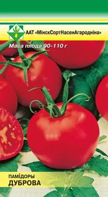 Семена томат Русский огород Дубрава Е00206 1 уп. - купить в Москве, цены на  Мегамаркет