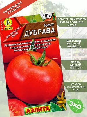 Томат Дубрава: характеристика и описание сорта помидора