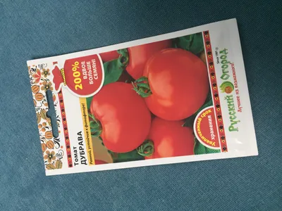 Томат Дубрава (Дубок) Ультраскороспелый сорт, семена (Аэлита) купить по  цене 59 ₽ в интернет-магазине KazanExpress