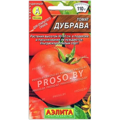 Томат ДУБРАВА (ДУБОК) семена купить по цене 59 ₽ в интернет-магазине  KazanExpress