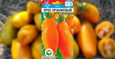 Семена томатов Эрос - Сортовые семена Mr.Pomidor