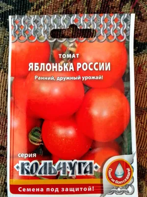 Томат яблонька России купить по цене 50 ₽ в интернет-магазине KazanExpress