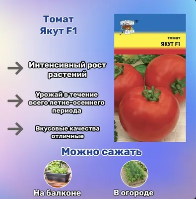 Семена томат Кольчуга Яблонька россии Е00170 1 уп. - купить в Москве, цены  на Мегамаркет