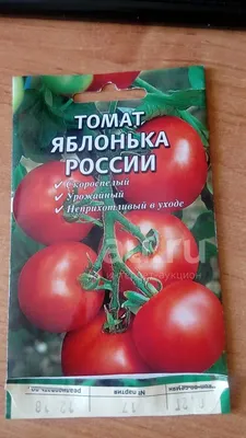 Томаты Урожай удачи Томаты Yom Shop - купить по выгодным ценам в  интернет-магазине OZON (460983632)