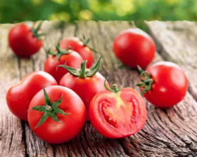семена томат\"яблонька россии\" — купить в Красноярске. Овощи на  интернет-аукционе Au.ru