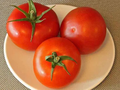 Томат Москвич: характеристика и описание сорта в 2023 г | Выращивание  томатов, Помидоры, Растения