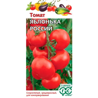 Борьба с фитофторой: как спасти помидоры - KP.RU