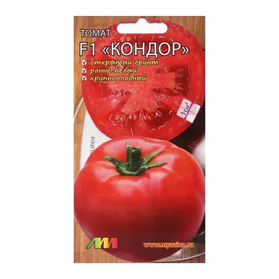 Отзыв о Семена томата Семена для Сибири \"Яблонька России\" | Всхожесть  отличная.