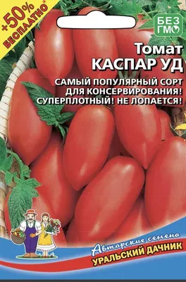 Помидоры Сливки: описание сорта. Многочисленное семейство вкусных томатов |  Азбука огородника | Дзен