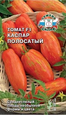 Отзыв о Семена томата Седек \"F1 Каспар\" | Урожайные семена томатов,  независимо от неблагоприятных погодных условий