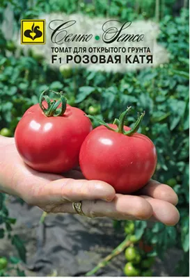 Помидоры Катя: описание сорта. Современный ультраскороспелый томатный  гибрид | Огородные шпаргалки | Дзен