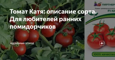 Купить семена Томат Катя F1 ПР по цене от 36 руб