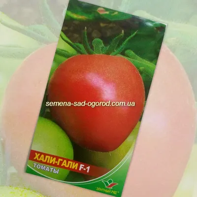 Семена томатов : Семена томат Хали-гали F1