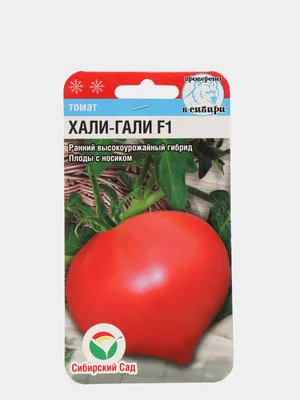 Семена томатов | томат хали-гали f1 0,1 г крупноплодный кустовой ранний,  империя семян
