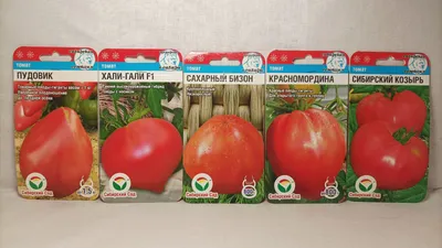 Томат \"Хали-Гали F1\", раннеспелый, семена купить по цене 69 ₽ в  интернет-магазине KazanExpress