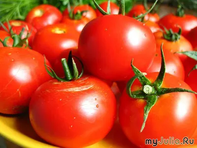 Семена томат Аэлита Хали Гали F1 раннеспелый - «Для садоводов-дачников!  Томаты с отличными вкусовыми свойствами. Сальцо, лучок и мясистые  помидорчики...ммм...» | отзывы