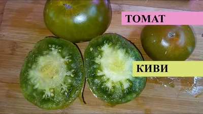 ТОМАТ КИВИ, имеет потрясающий фруктовый вкус, но не утратил томатные нотки  - YouTube