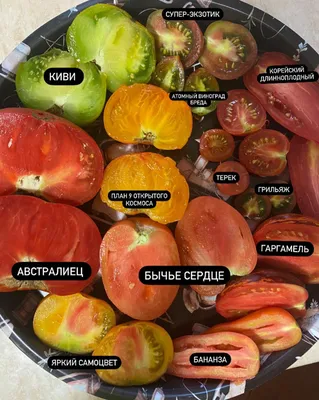 Томат \"Киви\" Аэлита - «Некраснеющий томат со вкусом киви 🥝?! Чем его  подкормить? Уход, подкормки и профилактика болезней. » | отзывы