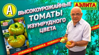 Диетолог Хембри: улучшить сон помогут киви, вишня и помидоры - Вести  Московского региона