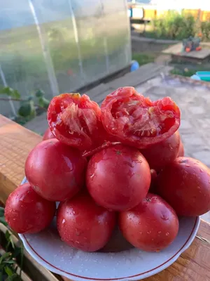 Сколько стоят помидоры, откуда их везут и сколько они стоят - 10 июля 2023  - v1.ru