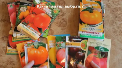 Семена Дыня \"Колхозница 749/753\", среднеспелый сладкий холодностойкий сорт  купить по цене 49 ₽ в интернет-магазине KazanExpress