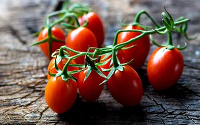 Газета \"Сцяг перамогi\" - Как получить большой урожай томатов