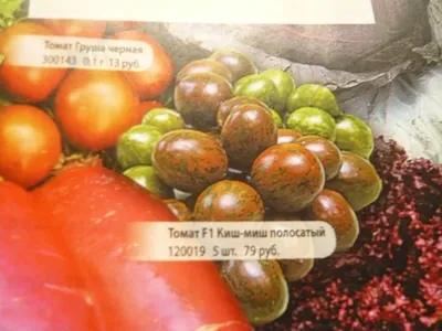 Семена томатов \"Медовый салют\" фирмы \"Поиск\" - «Самые вкусные томаты  \"Медовый салют\". Волшебные семена фирмы \"Поиск.\" » | отзывы