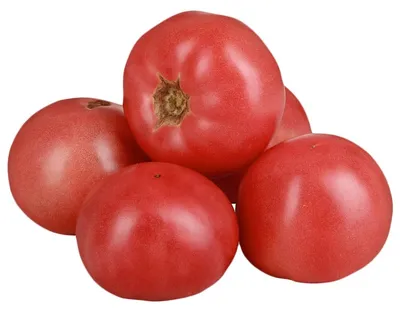 Семена томата СЕМЕНА СЕДЕК Пиноккио 0,1 г — цена в Энгельсе, купить в  интернет-магазине, характеристики и отзывы, фото