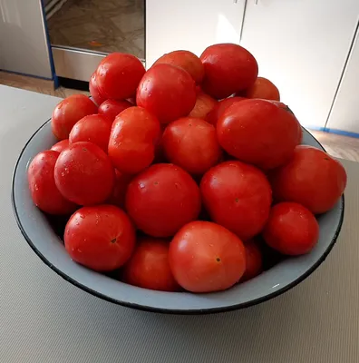 Семена томатов | томат нужный размер 0,1 г крупноплодный высокорослый  среднеспелый, империя семян