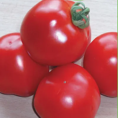 Сорта помидоров, выращиваемые огородниками | Parnishka Molodoi | Дзен