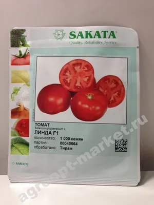 Томат Линда F1 (Sakata) - купить семена из Японии оптом - АГРООПТ
