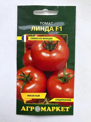 Купить томат Линда F1, семена оптом и в розницу | GreenTerra.by