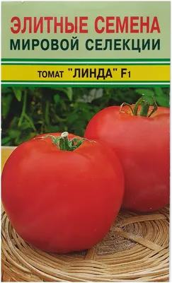 Линда F1 урожайный томат в России | Полевод ТВ | Дзен