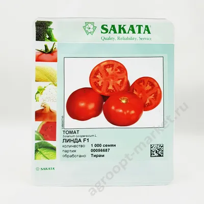 Томат Линда F1 (Sakata) - купить семена из Японии оптом - АГРООПТ
