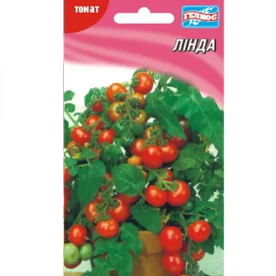 Томат \"линда F1\", 8 семян, крупный низкорослый (Япония) — купить в  интернет-магазине по низкой цене на Яндекс Маркете