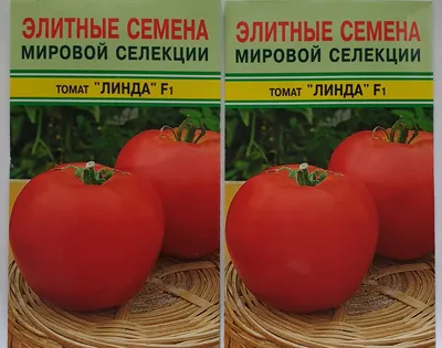 Купить семена Томат Линда F1 1000 семян 2750 в Волгограде c доставкой по  России - «АгроОнлайн»