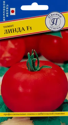 Семена Томат «Линда» F1 по цене 13 ₽/шт. купить в Москве в  интернет-магазине Леруа Мерлен